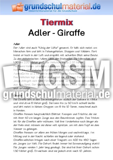 Adler_Giraffe.pdf